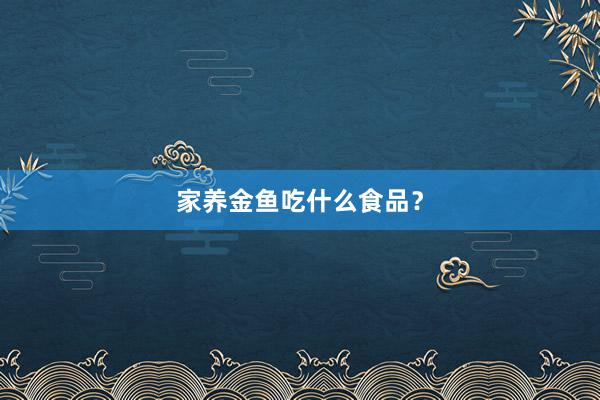 家养金鱼吃什么食品？